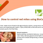 BioCare against redmites in poultry